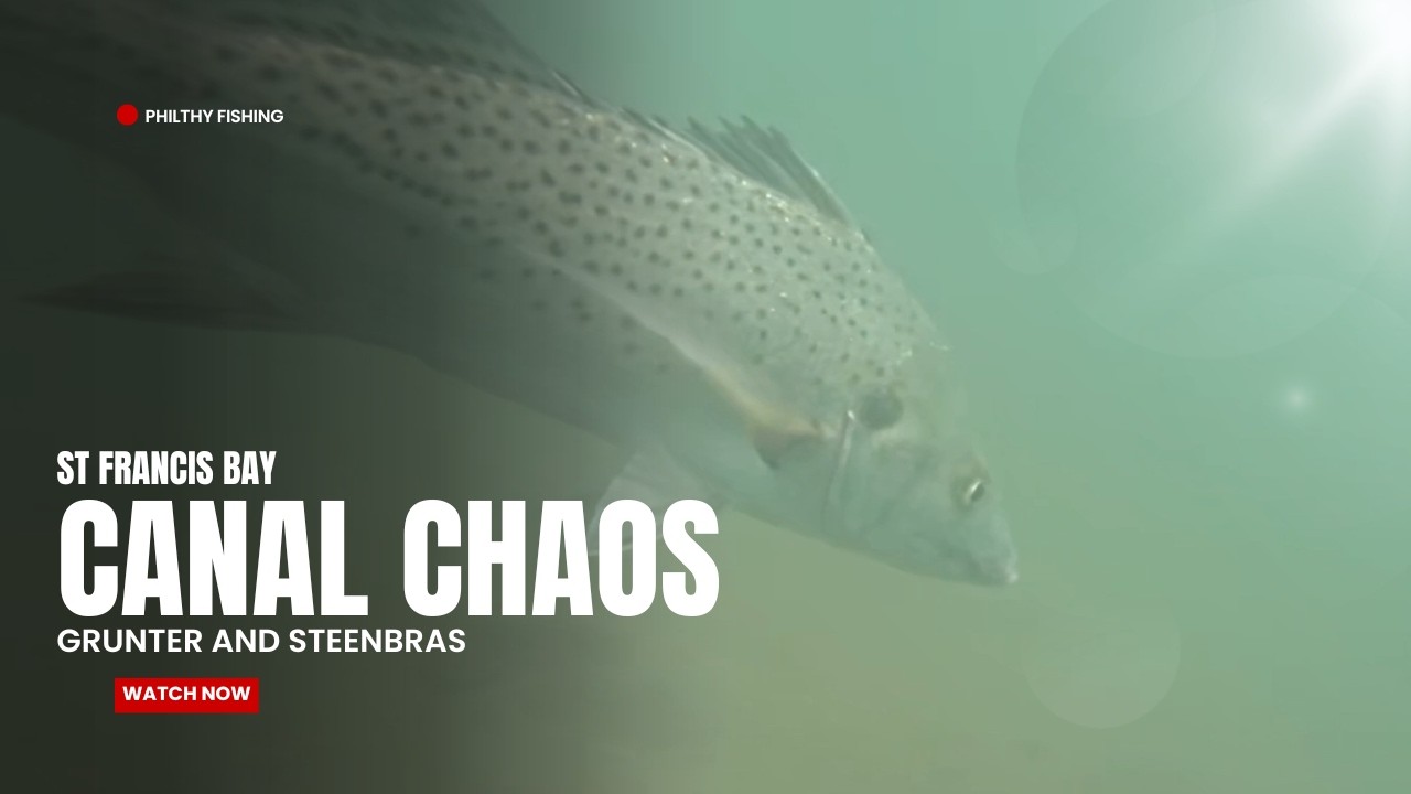 Canal Chaos 2 - Fishing the St Francis Bay Canal System