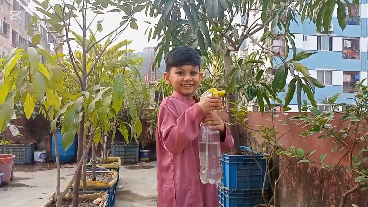 ছাদ বাগানের পরিচর্যা করছে আমির হামজা