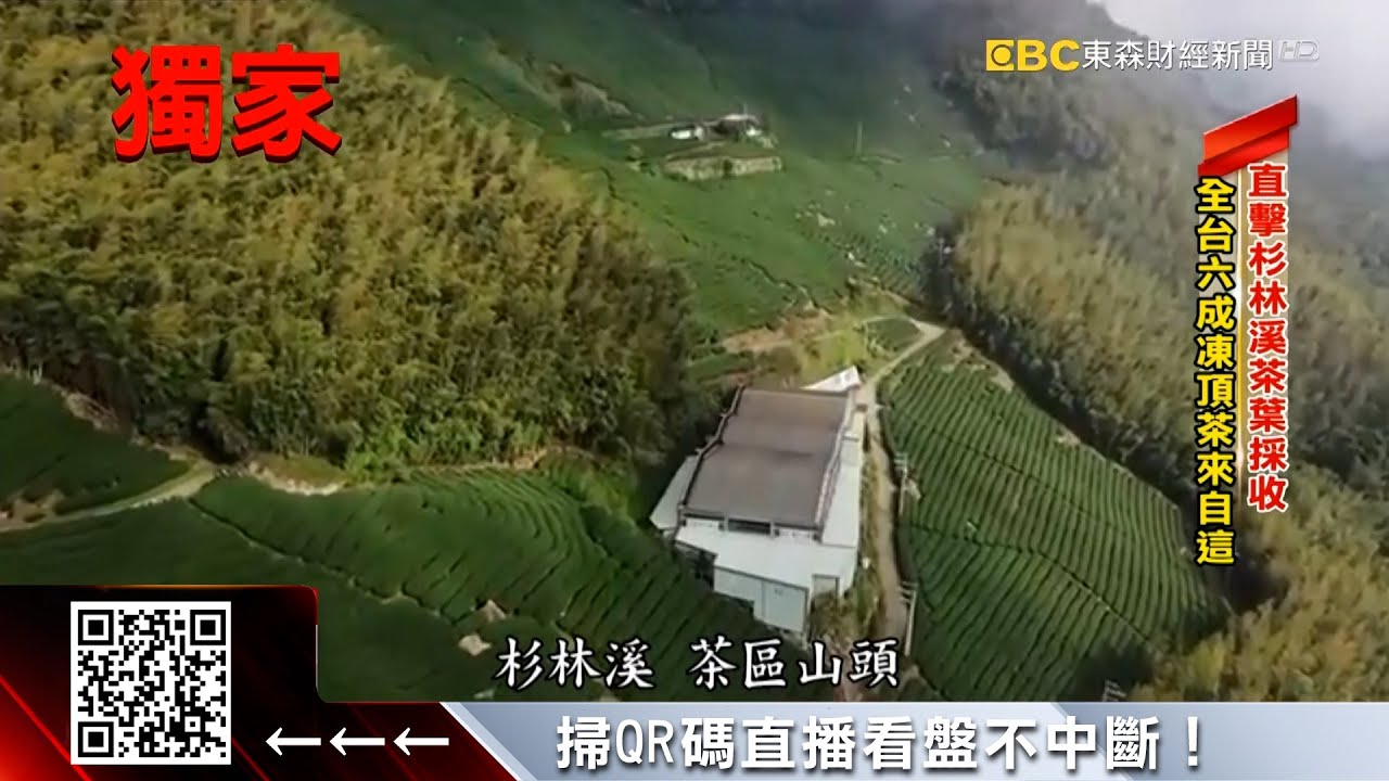 獨家》凍頂烏龍茶鼻祖在這 坐擁南投破億茶山 @57ETFN