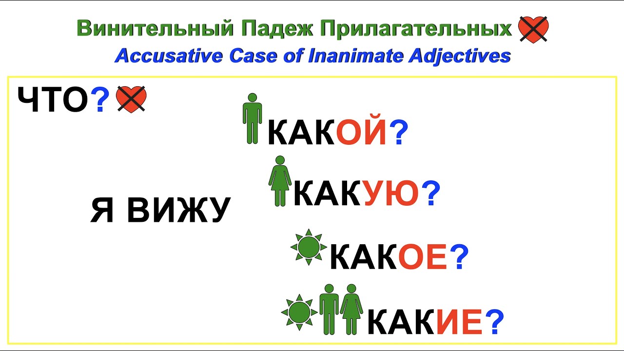 22. Винительный падеж прилагательных. Accusative Case of Inanimate Adjectives. Exercises.