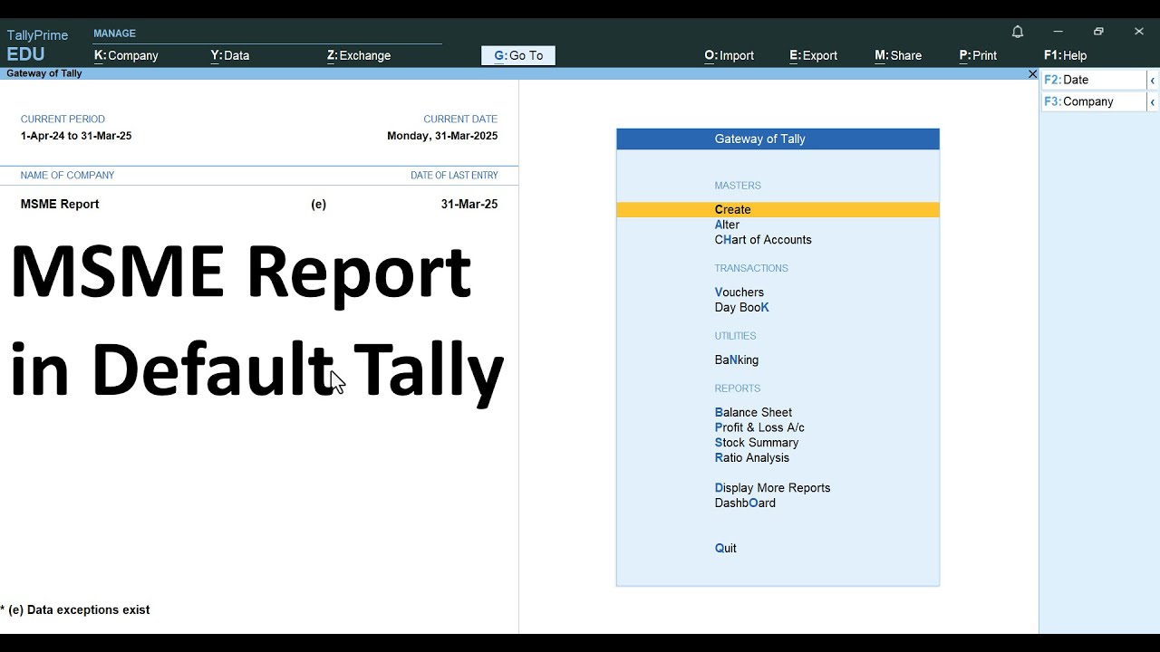MSME Report in Tally Prime | TallyPrime Guide