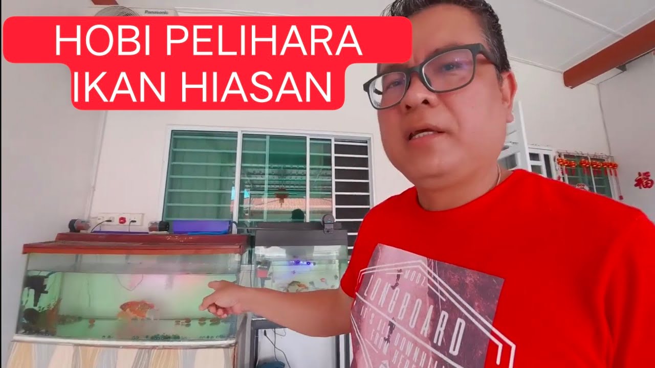 Aktiviti Di Hujung Minggu Cuci Filter Akarium Ikan Hiasan, Kota Samarahan Sarawak
