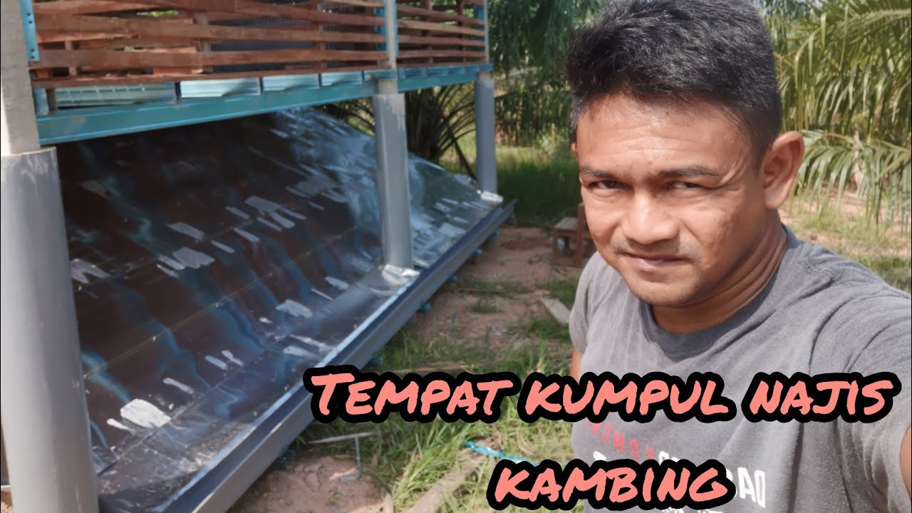 Membina tempat pengumpulan taik kambing..
