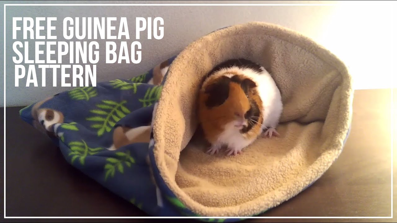 Free Guinea Pig Sleeping Bag Pattern 🐹💤