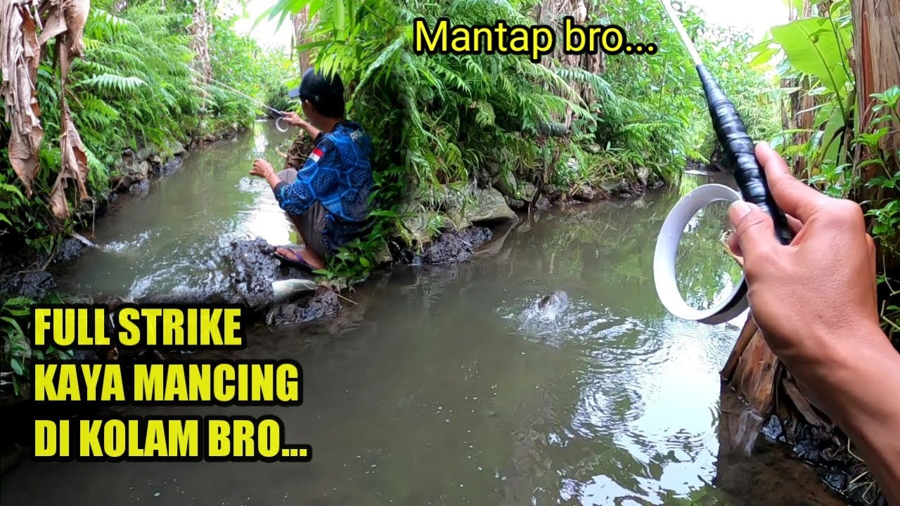 Alhamdulillah.. Mancing Hari ini Lihat hasilnya bro..