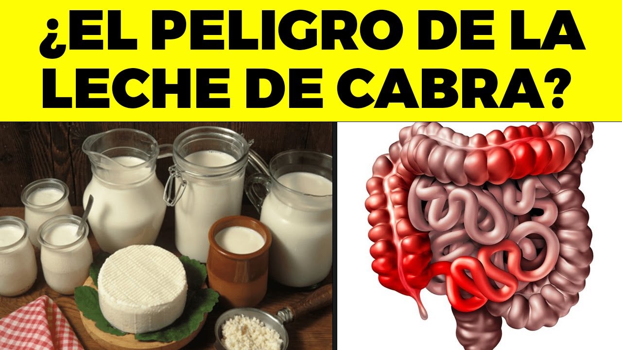 Esto le OCURRE a tu CUERPO si tomas LECHE de CABRA