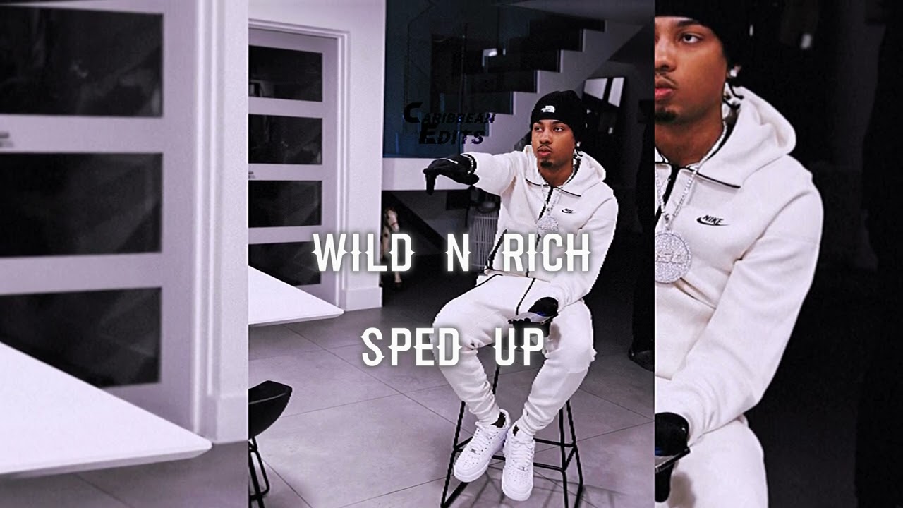 450 - Wild N Rich [Sped Up]