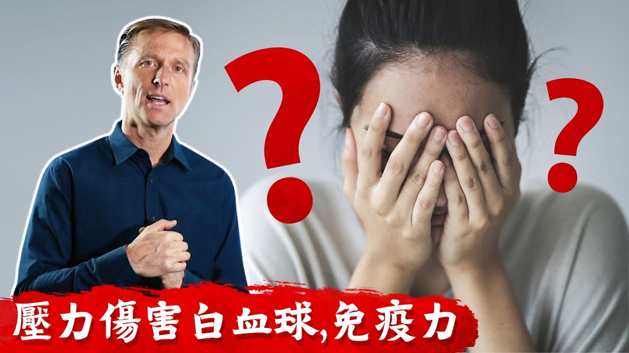 壓力影響白血球免疫力,長期慢性壓力很致命!!柏格醫生
