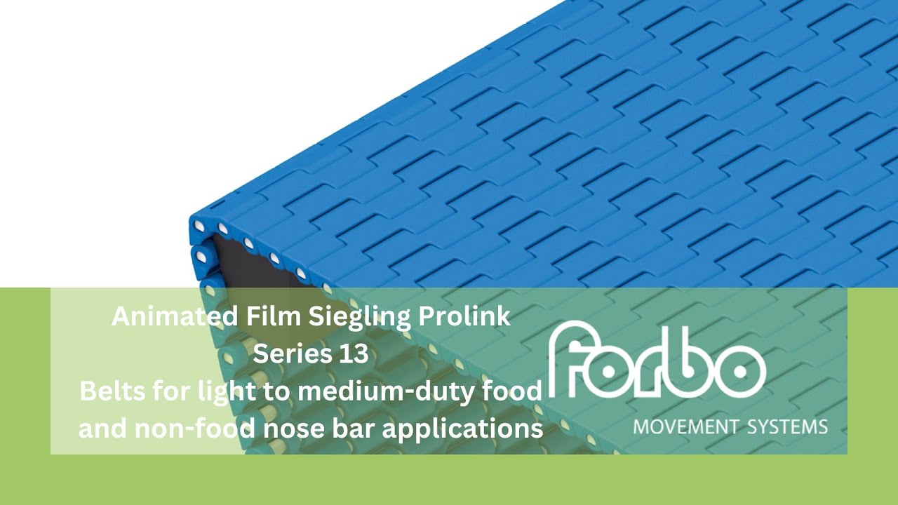 Siegling Prolink Series 13