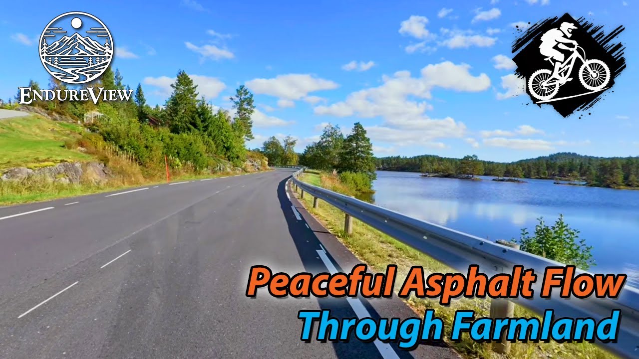 ☀️🌻 Peaceful Asphalt Flow Through Farmland 🚴‍♂️