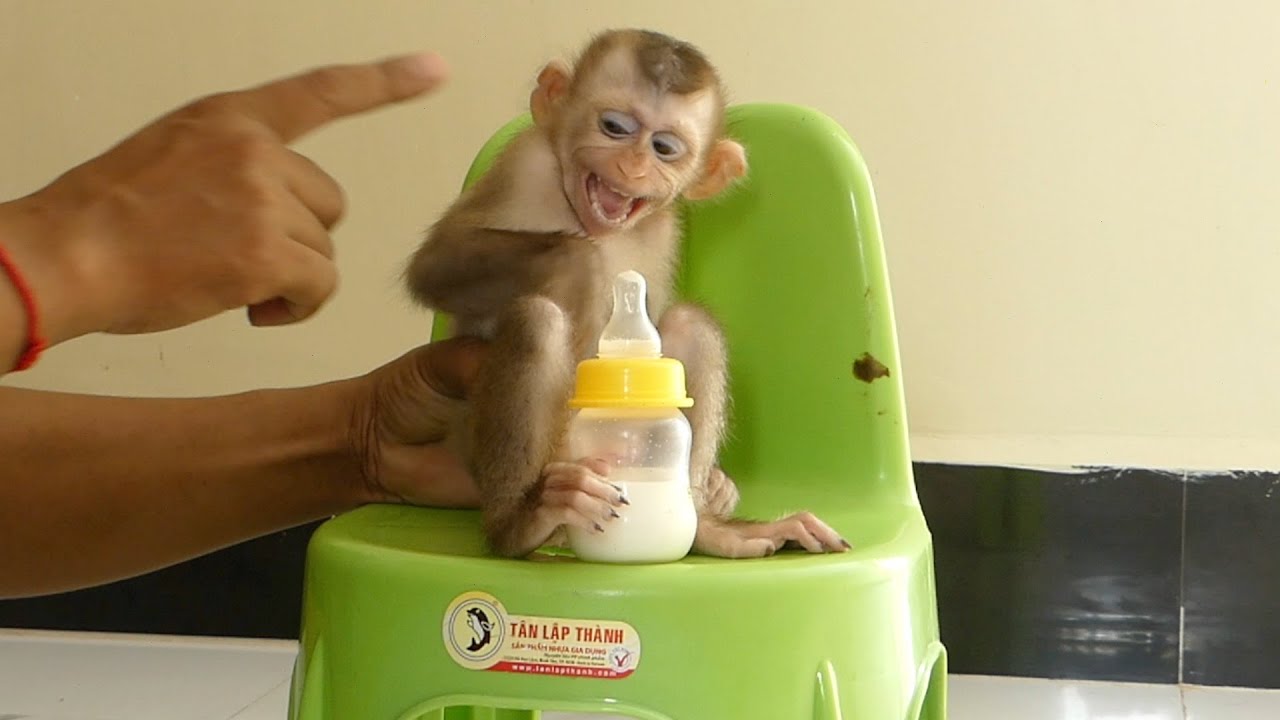 Baby Alan Angry because hungry for milk