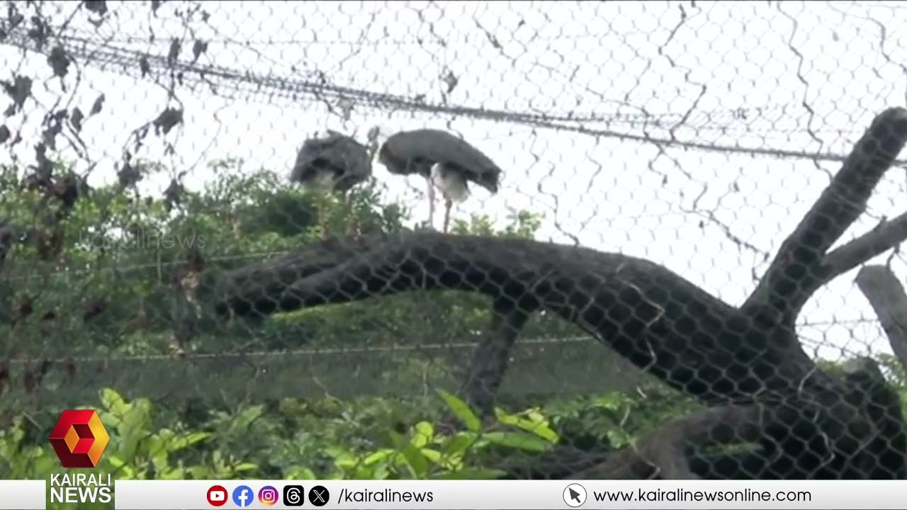 തൃശൂരിലെ സുവോളജിക്കൽ പാർക്ക് റെഡിയായി ഗയ്സ്:  മുഖ്യമന്ത്രി ഇന്ന് നാടിന് സമർപ്പിക്കും