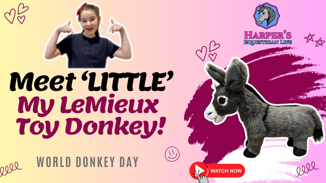 Meet Little &ndash; My LeMieux Toy Donkey! 🫏💛 | World Donkey Day Special 🎉