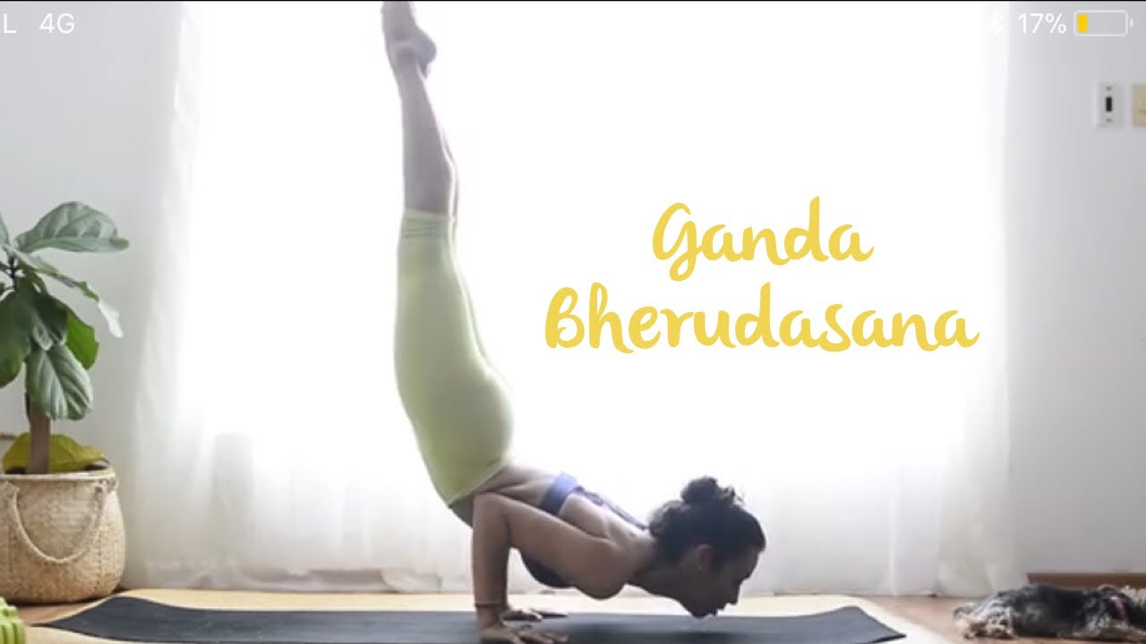 Tutorial: Cómo hacer Ganda Bherudasana ,  yoga  en español para nivel avanzado | Brenda Yoga