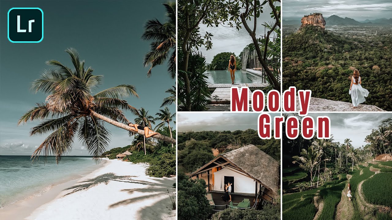 How to Edit Moody Green Presets |  Lightroom Mobile Presets Tutorial Free DNG XMP Editing Tutorial