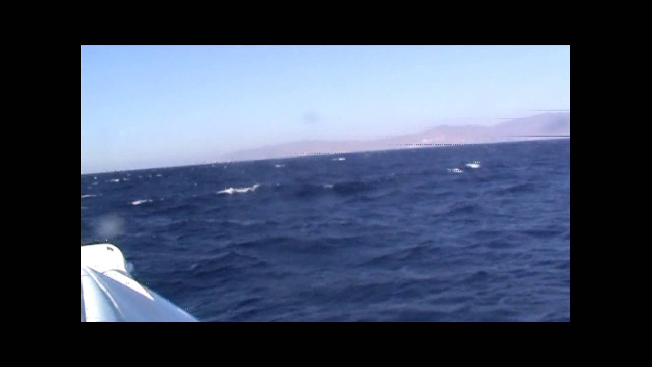 EVRIPUS CABIN-6ημερη απολαυση στις Κυκλαδες-