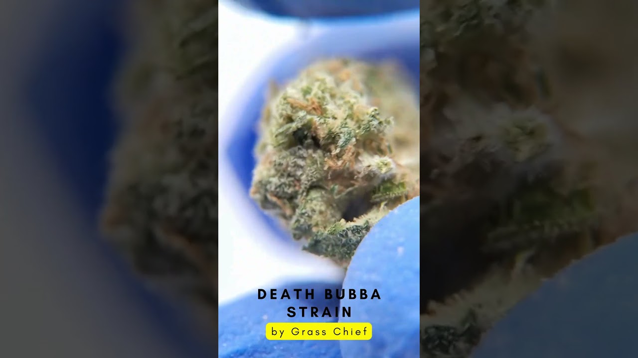 Death Bubba Strain by Grass Chief