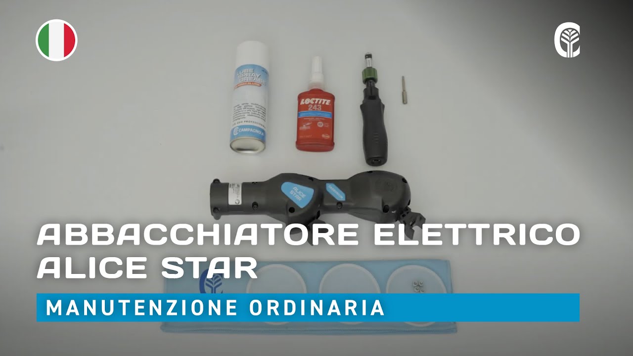 🇮🇹 Manutenzione ordinaria: CAMPAGNOLA ALICE STAR - dopo 200 ore di utilizzo