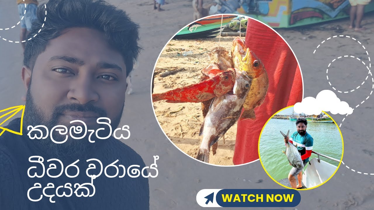 කලමැටිය ධීවර වරායේ උදෑසනක්... ලංකාවෙ සුන්දර තැන්. #travelvlog #traveling