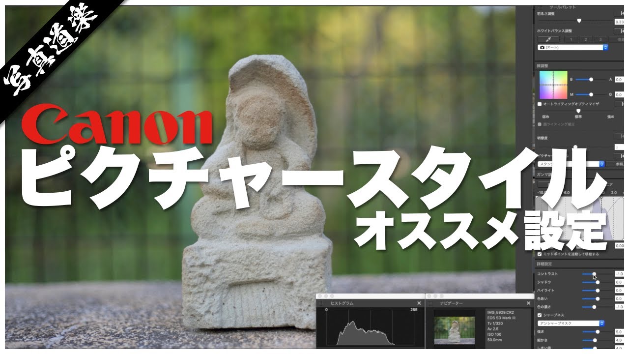 【Canon】ピクチャースタイルのオススメ設定