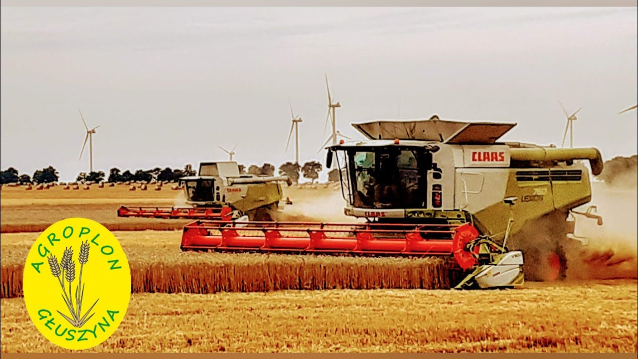 🔥Żniwa 2020 w Agroplon Głuszyna🔥 2X CLAAS LEXION 760 !