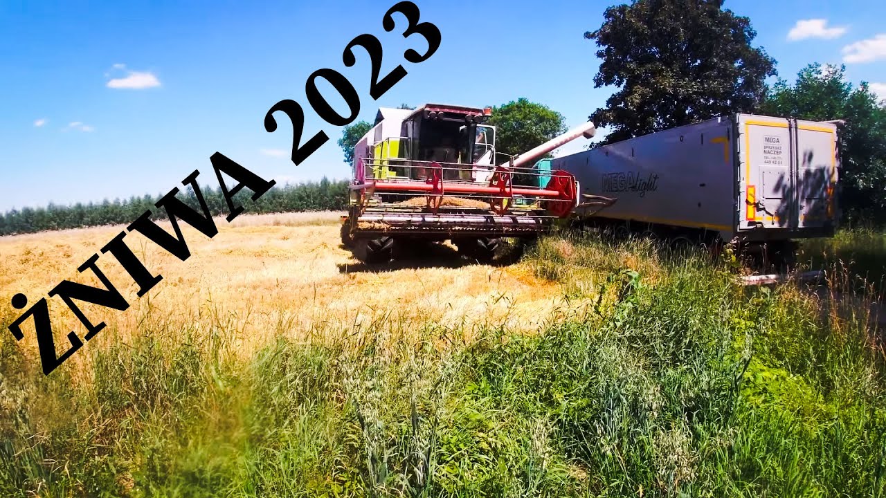 ✔ŻNIWA 2023 u wujka ROZPOCZĘTE✔CLAAS DOMIANTOR 108 SL MAXI✔NEW HOLLAND T6 120✔