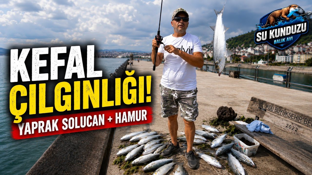 KEFALLER KANCAYA ÜŞÜŞTÜ! YAPRAK SOLUCANI VE EL YAPIMI HAMUR İLE EFSANE AV!