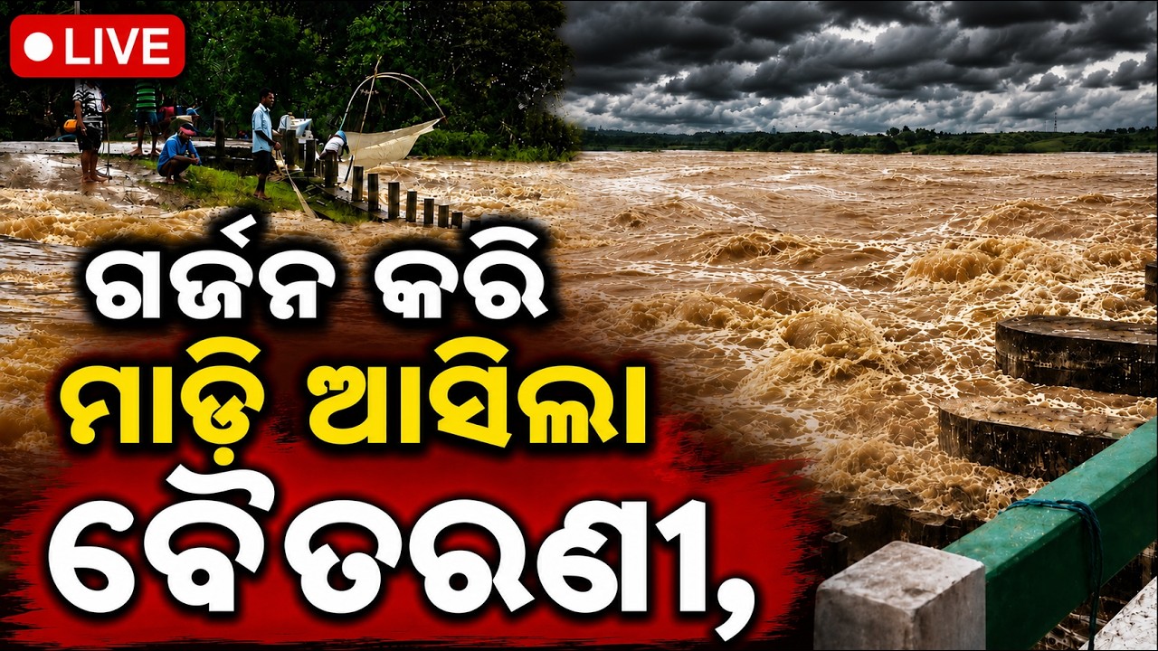 🔴Breaking LIVE ଗର୍ଜନ କରି ମାଡ଼ି ଆସିଲା ବୈତରଣୀ Bhadrak Flood Alert | Water Rises Above Danger Level