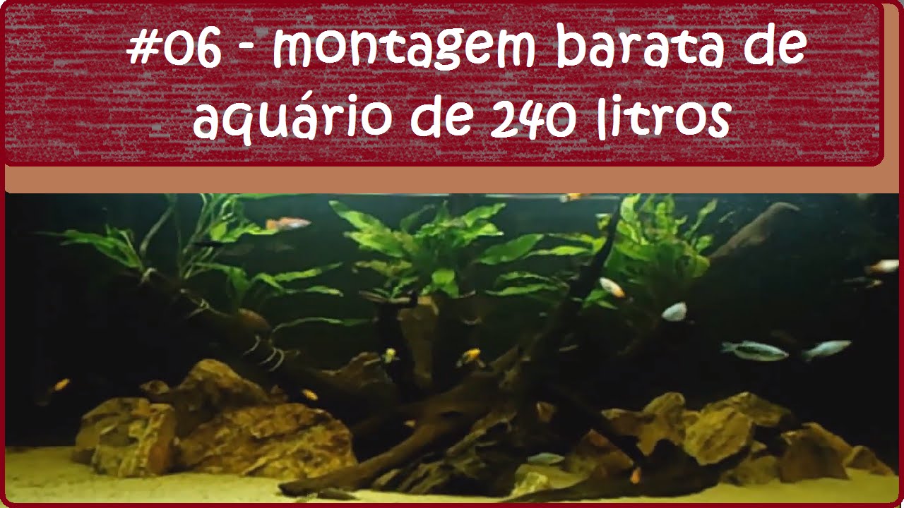Montagem barata de aquário de 240L