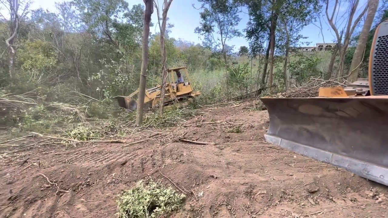 Cat 931 Track loader clearing hillside.