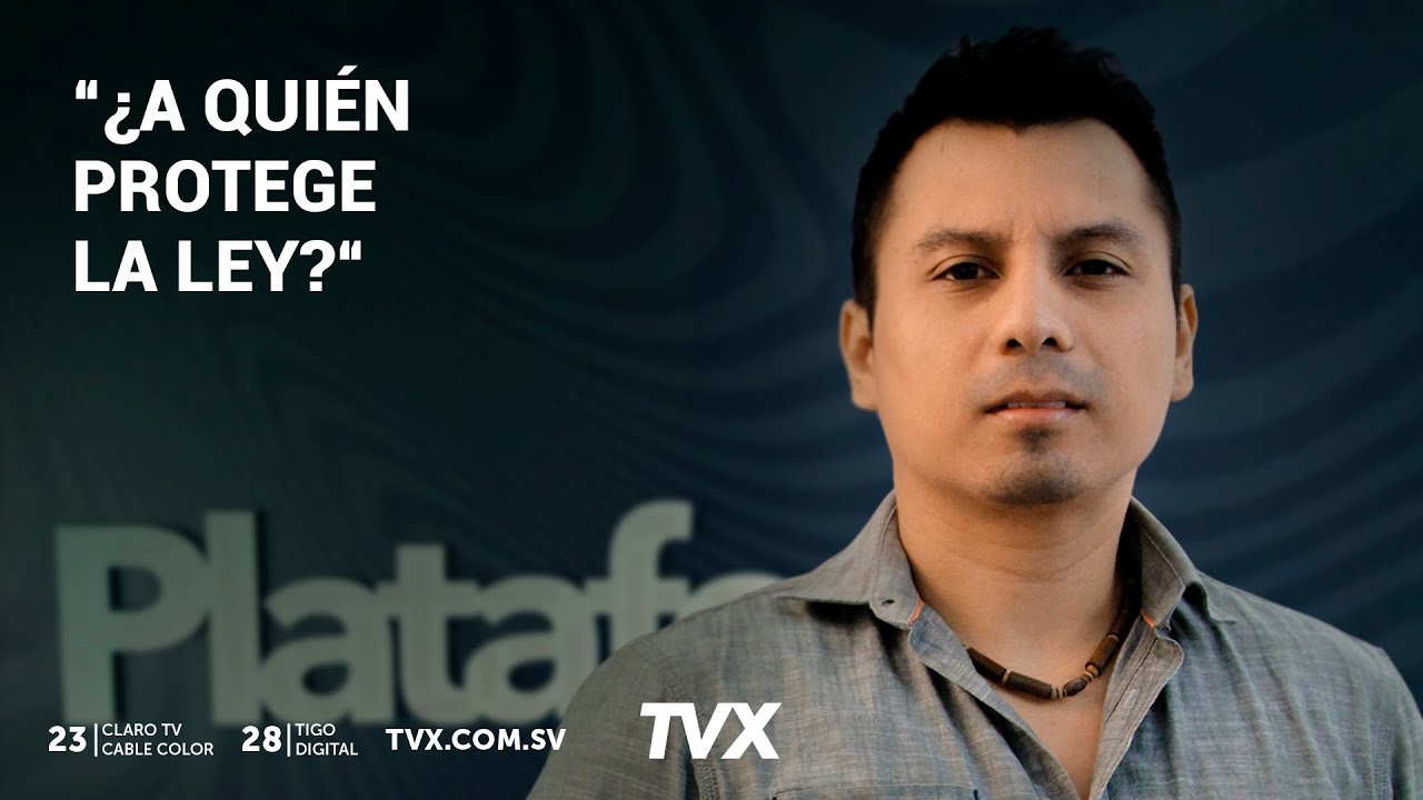 &iquest;A qui&eacute;n protege la Ley?