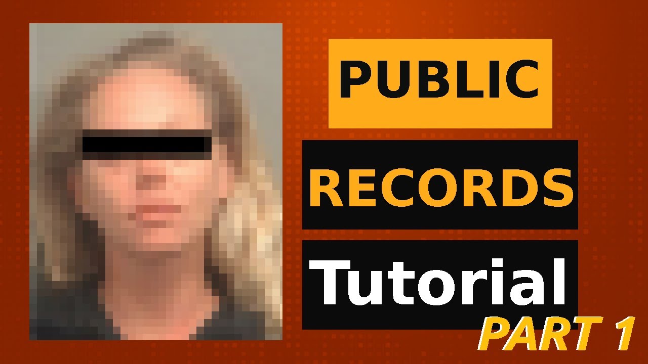 Private Investigator Tutorial Part 1: How to do a free criminal public records background check.