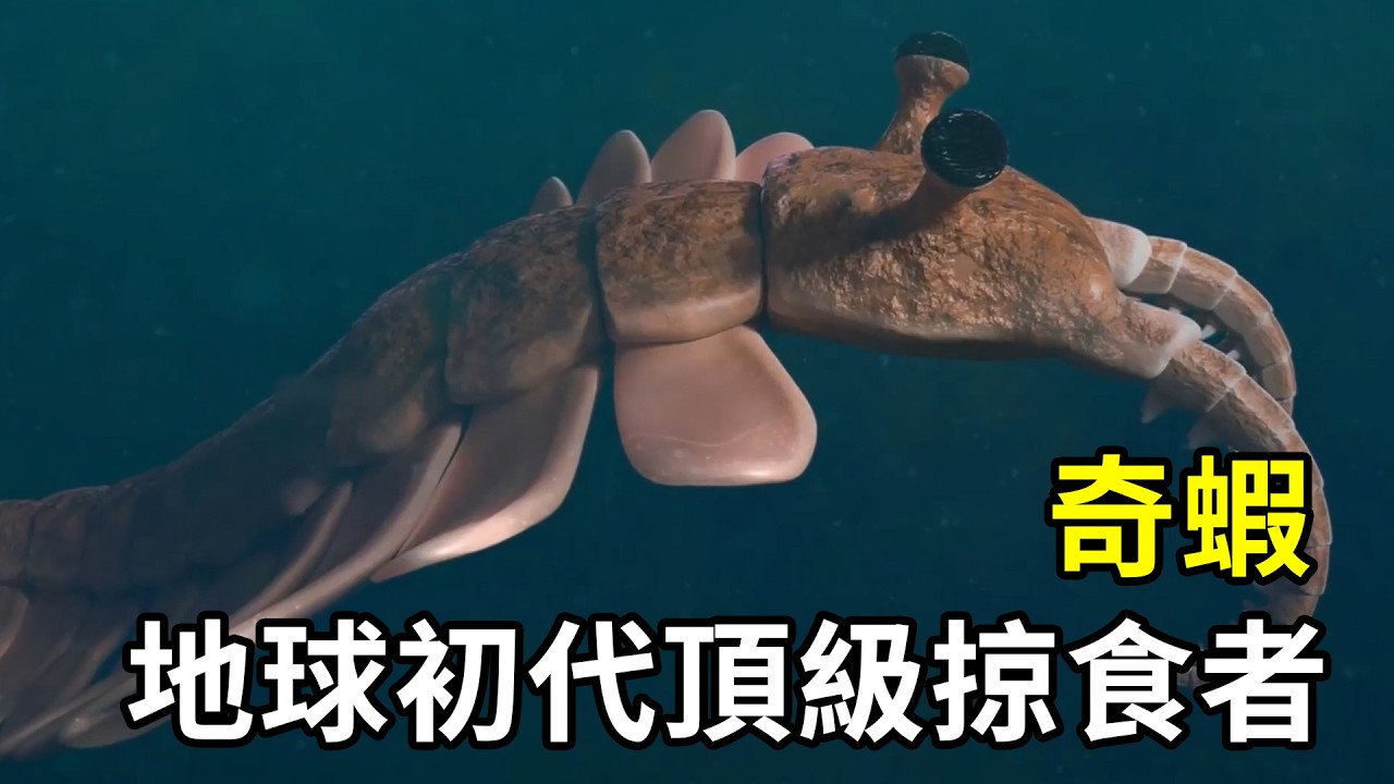 地球初代頂級掠食者，為何突然從海洋霸主走向滅絕？ | #紀錄片 #有趣  #涨知识 #動物  #生物