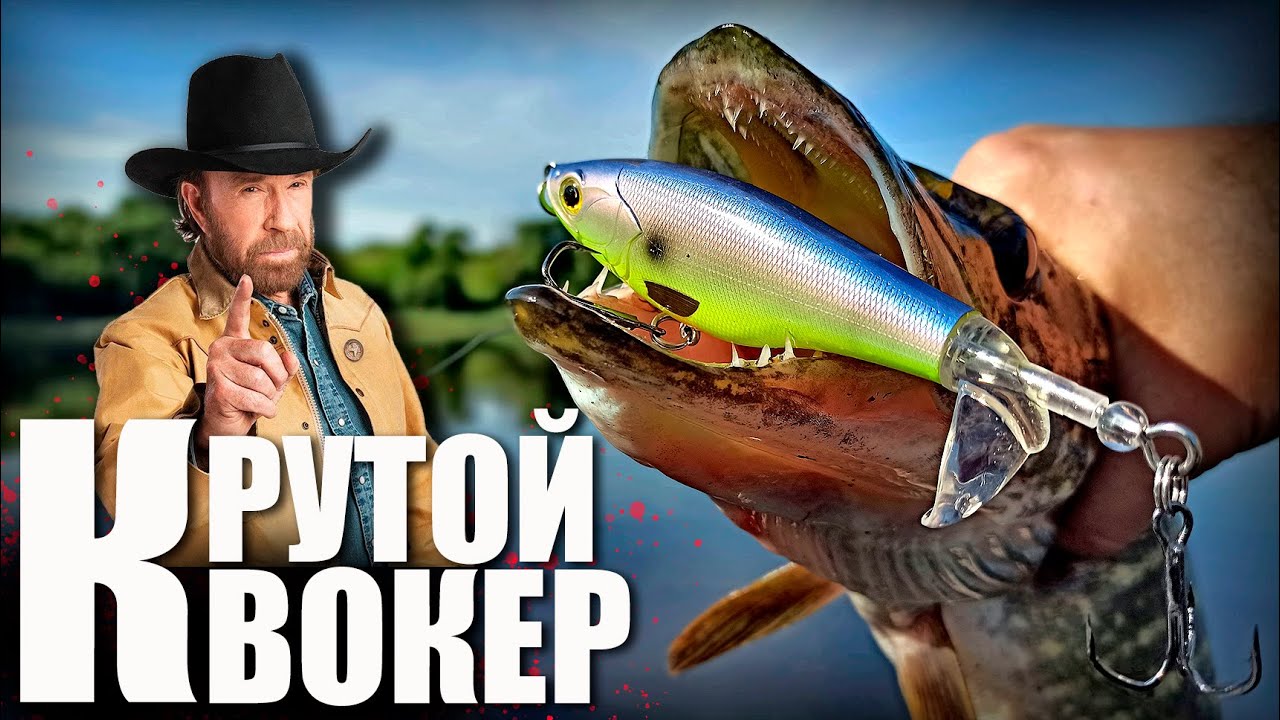 🔴 Неубиваемый КВОКЕР от Kingdom! Сравнение с Whopper Plopper от Allblue! 👍👍👍