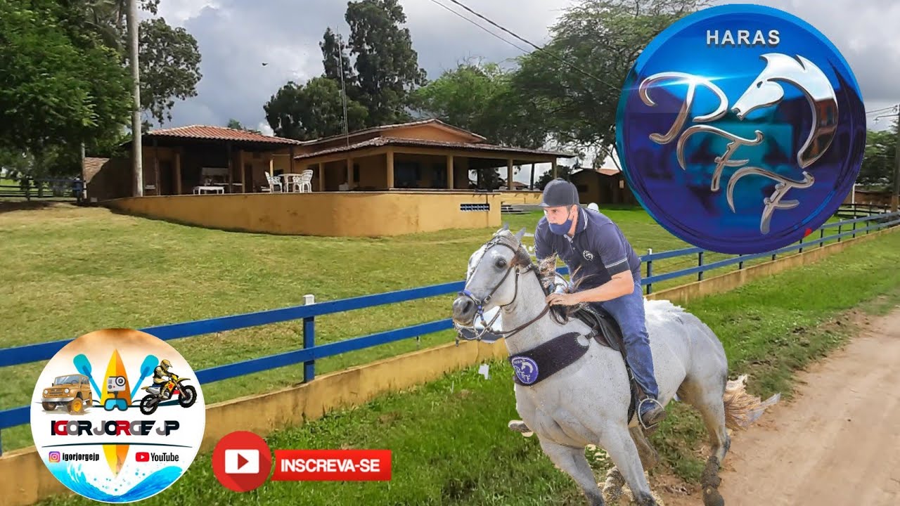 Haras PFF referência em vaquejada no Brasil ( fazendo um tour no Haras PFF )
