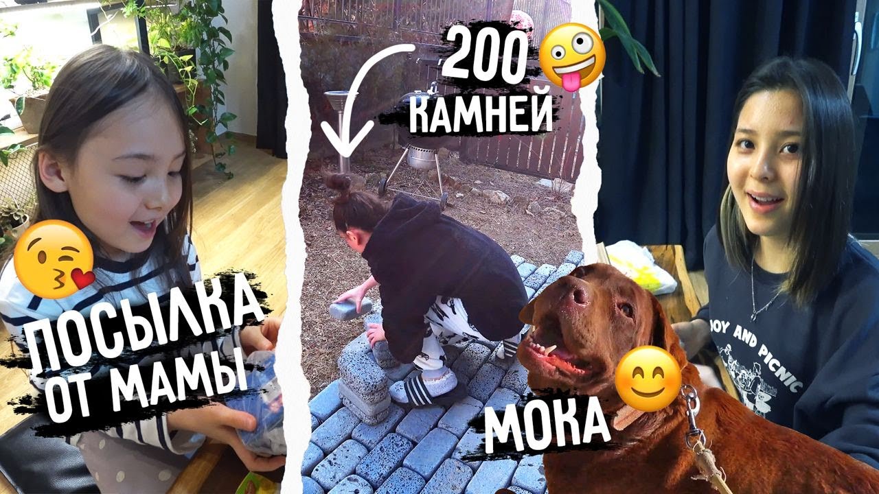 Домашняя рутина / Как дела у Моки? Посылка от мамы ^^ KOREA VLOG