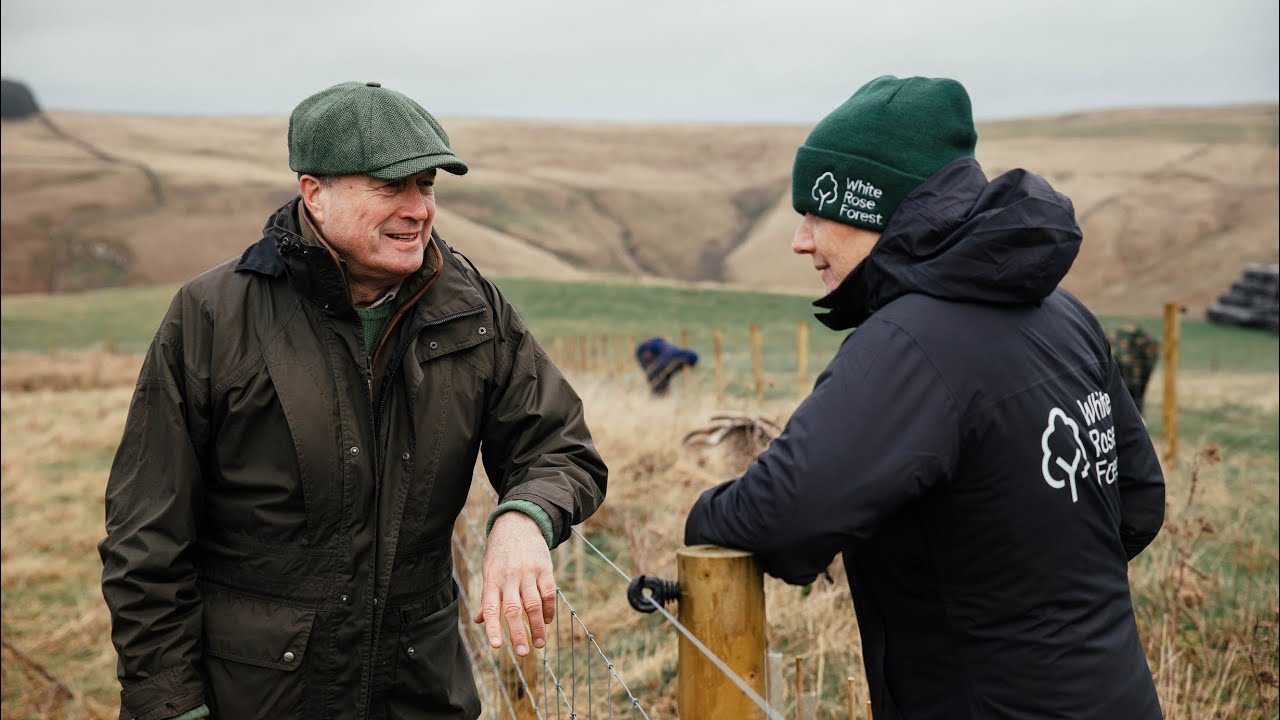 Planting trees to kickstart regenerative farming in the Yorkshire uplands with the White Rose Forest