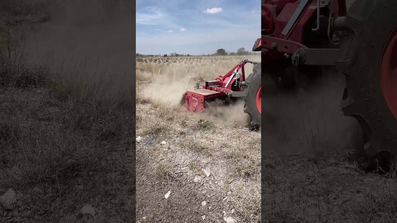 Kubota B2401 con Rotovator #Kubota #tractor #agricultura #agriculture #kubotamexico #tractor #agro