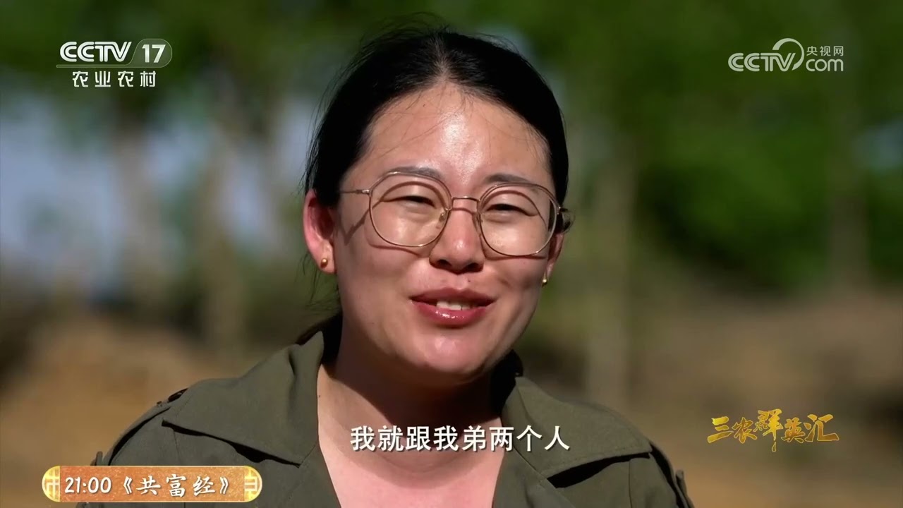 《三农群英汇》 20260312 万亩沙地的绿色接力 | 农业致富经 Agriculture And Farming