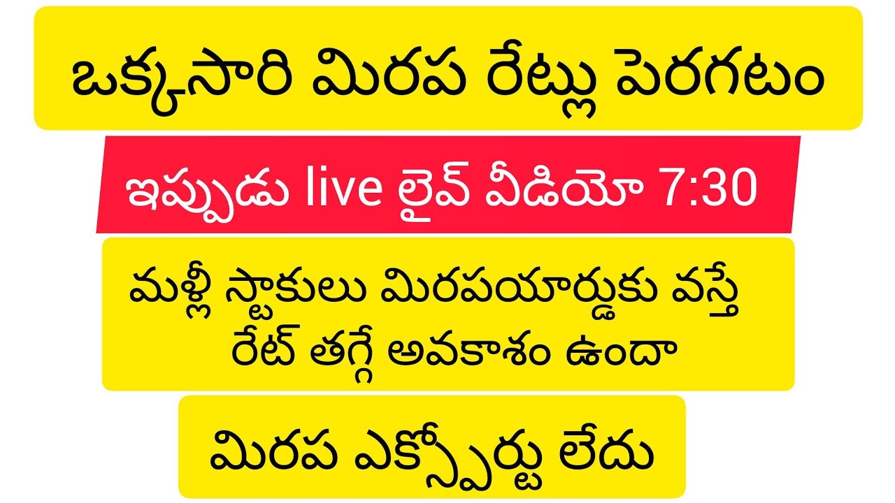 ఇప్పుడే లైవ్ చూడండి ఒక్కసారిగా పెరిగిన మిరప రేట్లు మరికొన్ని రోజుల్లో రేటు తగ్గిపోయే అవకాశం ఉందా