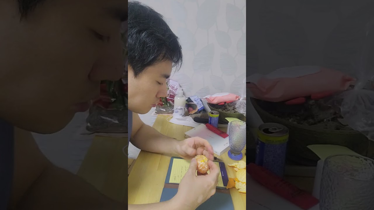 [asmr]일지쓰기, 독서하기