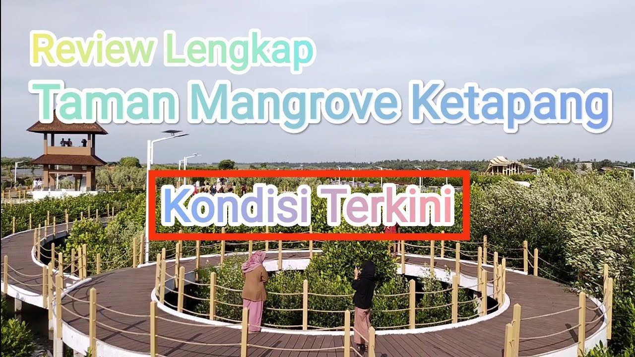 Mangrove Ketapang Mauk || Review Lengkap Tempat Wisata Mangrove di Ketapang Mauk || VIRAL!!