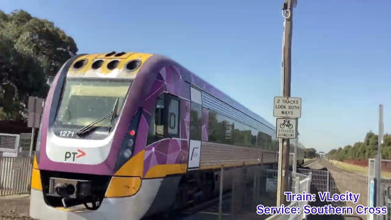Trains at Ardeer