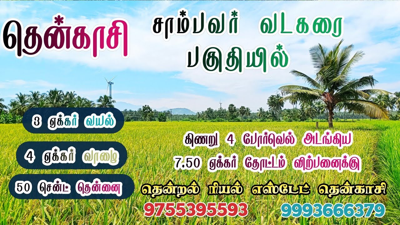 #தென்காசி || சாம்பவர்வடகரையில்  || 7.50  ஏக்கரில்  வயல் ,தென்னை, கிணறு அடங்கிய தோட்டம் விற்பனைக்கு