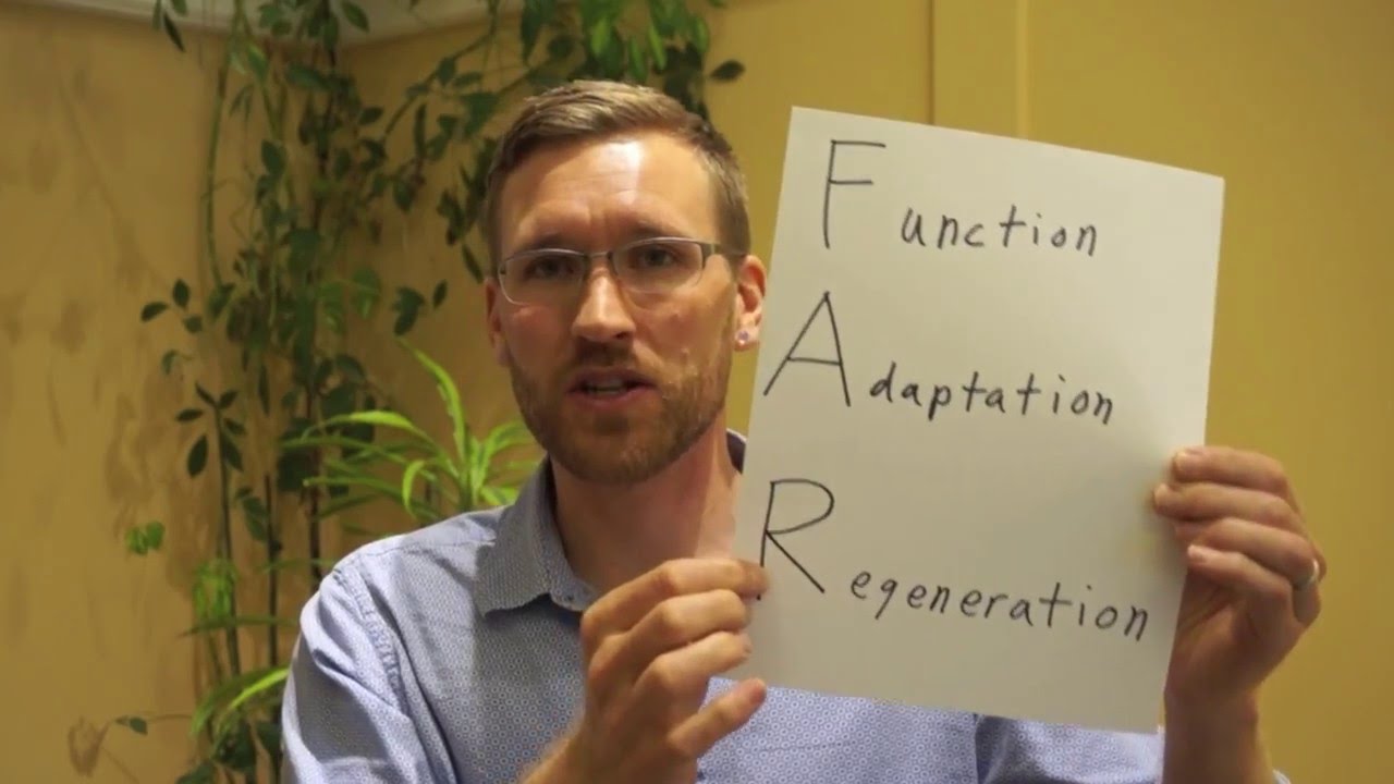 Function / Adaptation / Regeneration