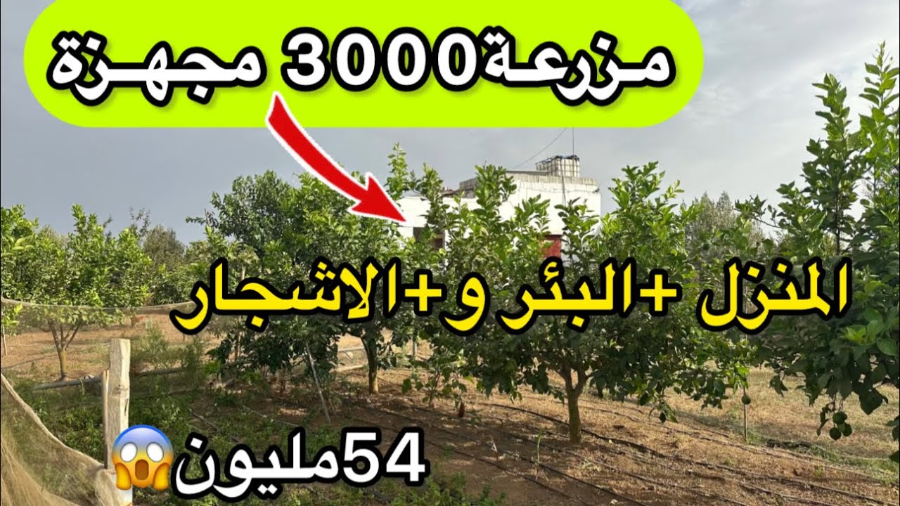 🚨مزرعة جميلة3000متر 🚨فيها سكن و بئر و طاقة الشمسية قرب مدينة 📌تيفلت ✨والثمن مناسب