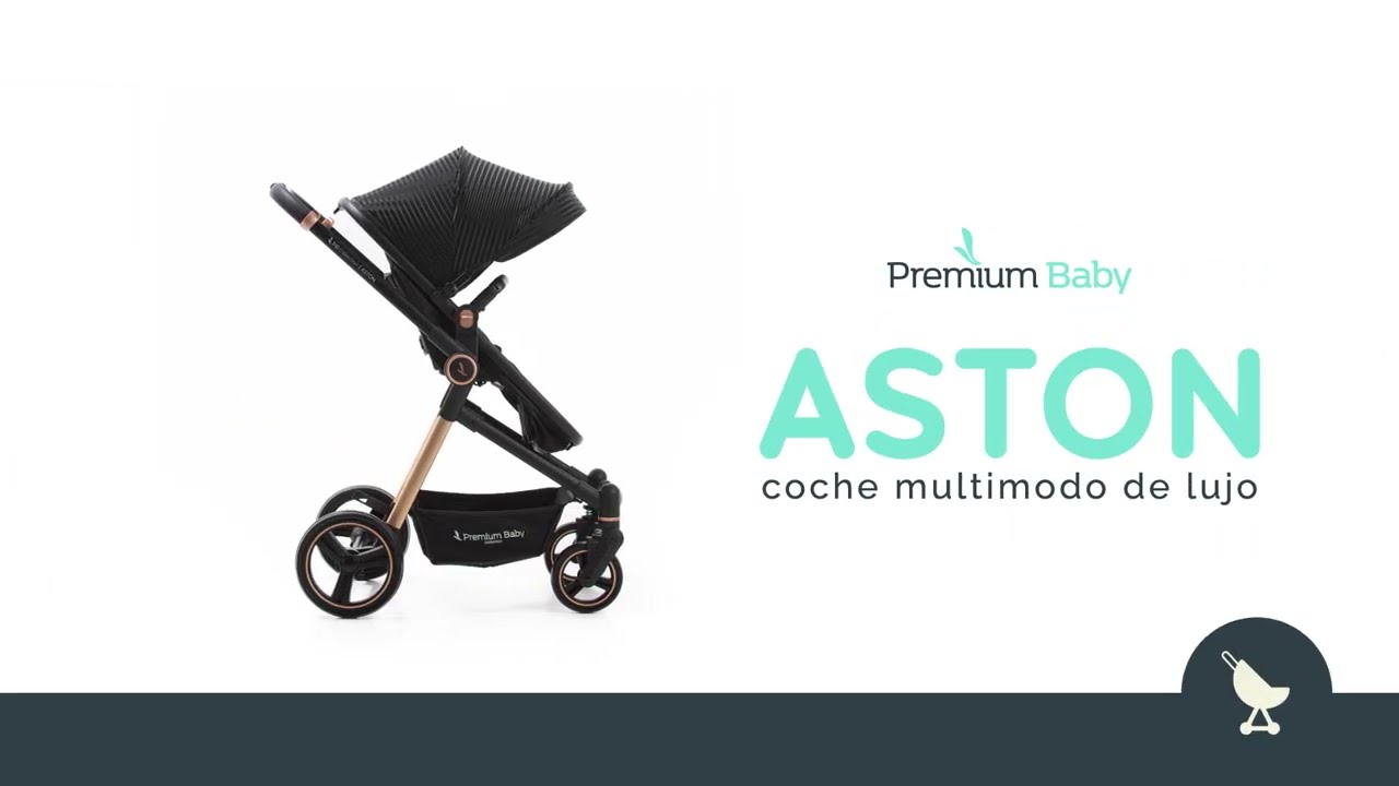 Cochecito 3 en 1 Aston de Premium Baby