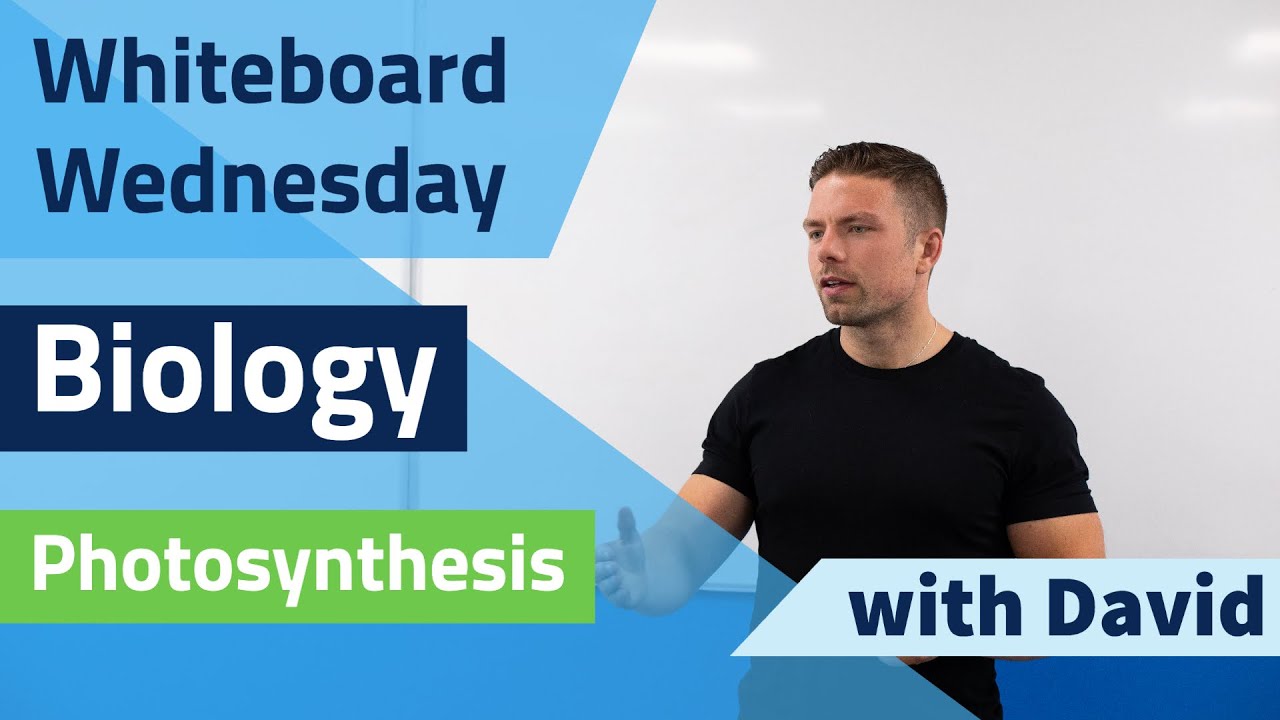Leaving Cert Biology - Photosynthesis