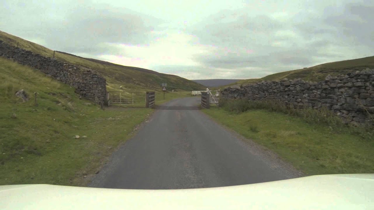 Border Collie Rescue - The Road to Low Row