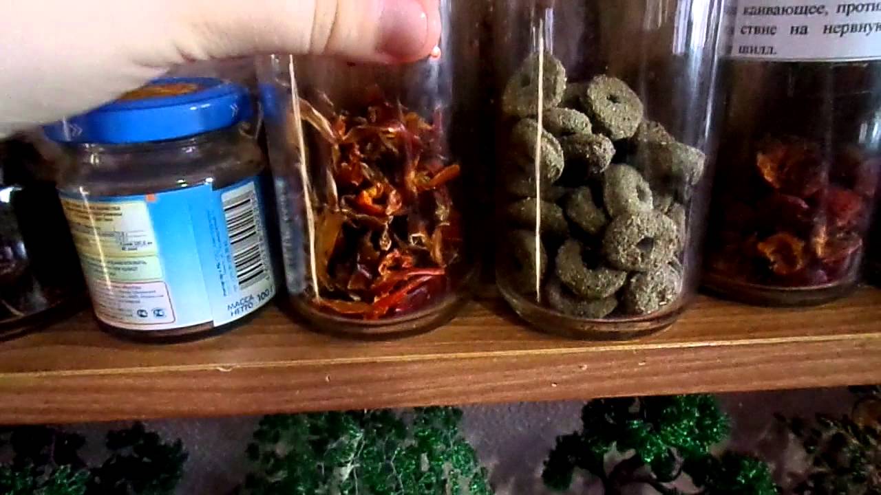 Лакомства для шиншиллы Сони.  Ягоды и соцветия